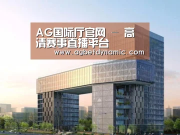 案例展示四