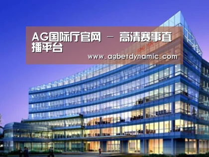 案例展示五
