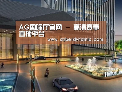 案例展示二