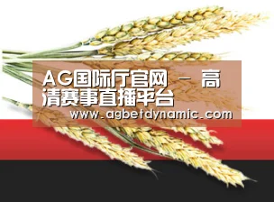 AG国际厅官网 - 高清赛事直播平台