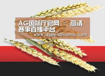 AG国际厅官网 - 高清赛事直播平台