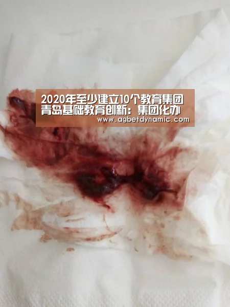 2020年至少建立10个教育集团 青岛基础教育创新:集团化办学坚持“一校一案”|AG登录(图1) AG综合