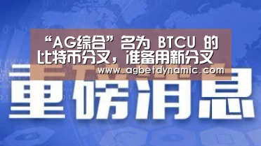 “AG综合”名为 BTCU 的比特币分叉,准备用新分叉解决比特币网络的旧问题(图4) AG体育