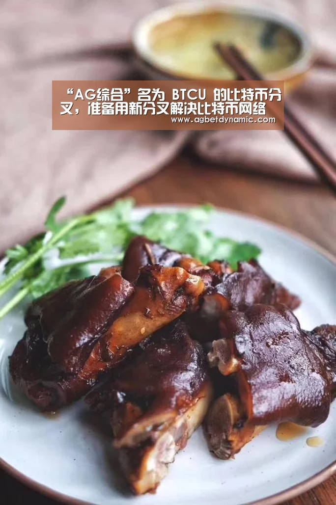 “AG综合”名为 BTCU 的比特币分叉,准备用新分叉解决比特币网络的旧问题(图3) AG体育