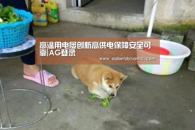AG体育