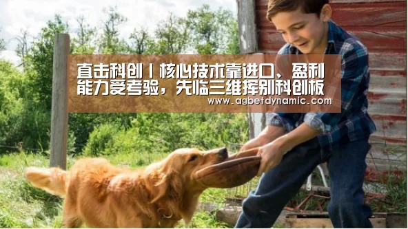 AG登录
