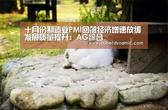 十月份制造业PMI回落经济增速放缓发展质量提升:AG综合(图2) AG登录
