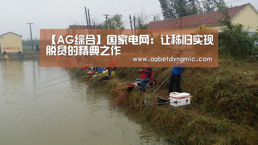 【AG综合】国家电网:让秭归实现脱贫的精典之作(图4) AG直播
