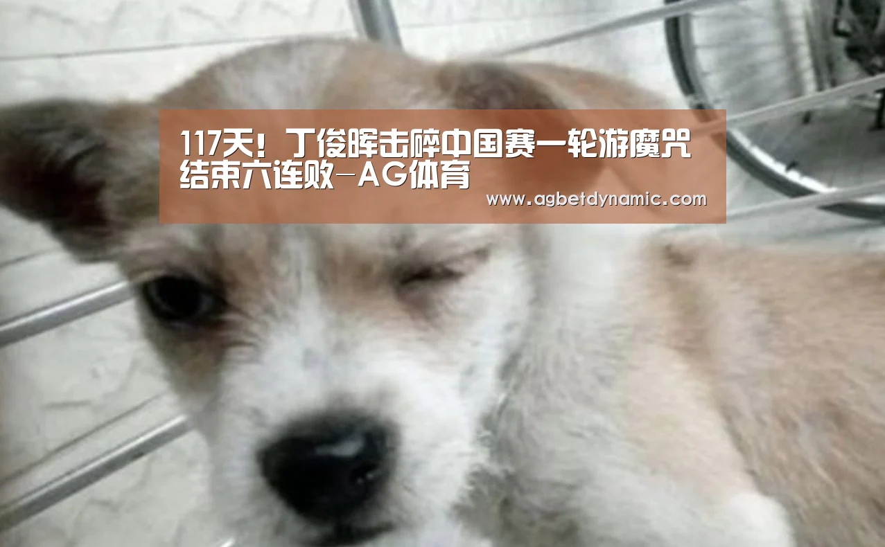 117天!丁俊晖击碎中国赛一轮游魔咒 结束六连败-AG体育(图1) AG登录