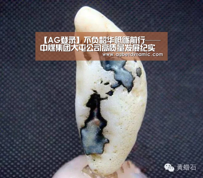 【AG登录】不负韶华砥砺前行——中煤集团大屯公司高质量发展纪实(图2) AG登录
