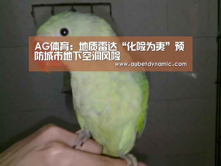 AG体育:地质雷达“化险为夷”预防城市地下空洞风险(图1) AG综合