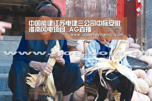 中国能建江苏电建三公司中标安徽淮南风电项目_AG直播(图4) AG体育